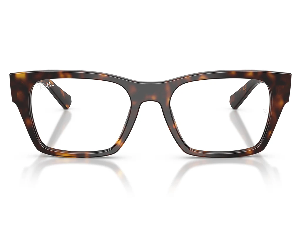 Ray-Ban 0RX5448 2012 Havana 53