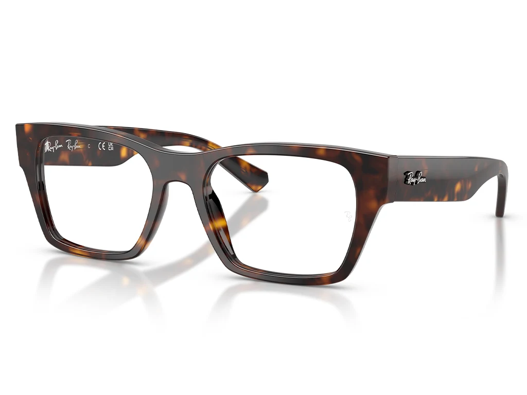 Ray-Ban 0RX5448 2012 Havana 53