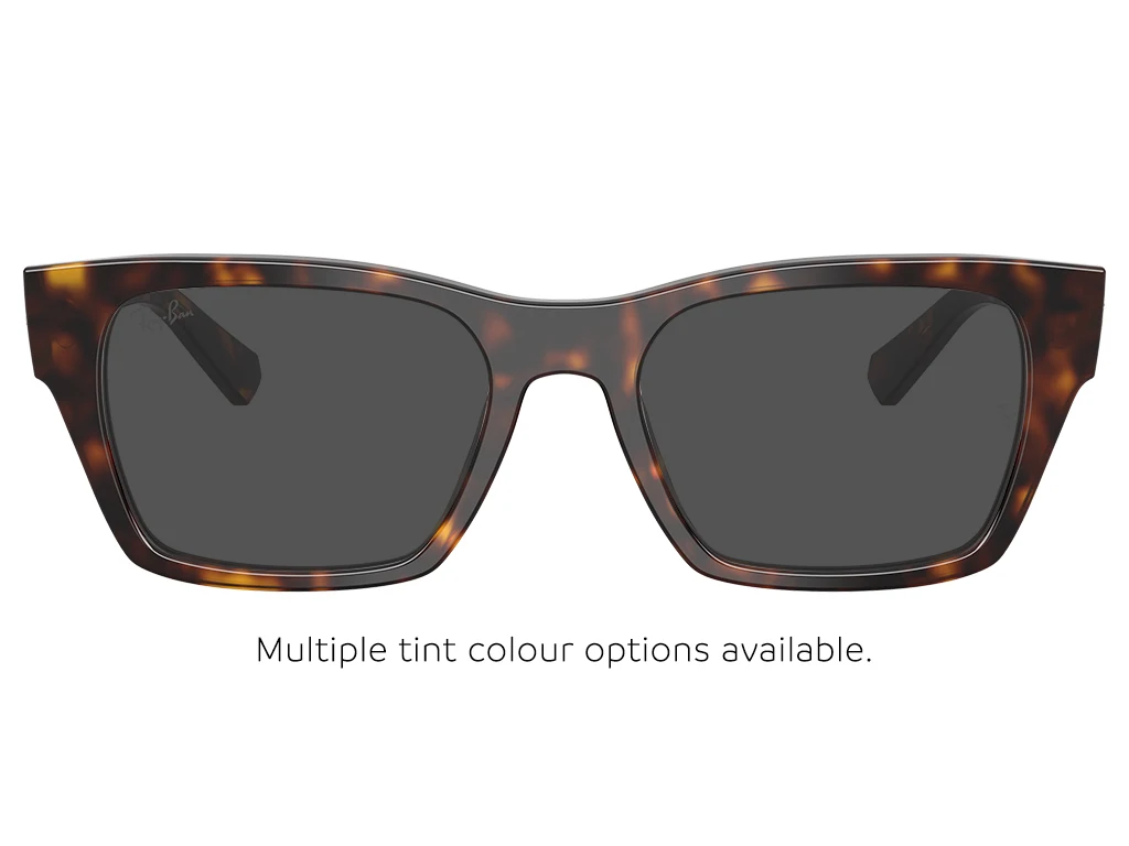 Ray-Ban 0RX5448 2012 Havana 53