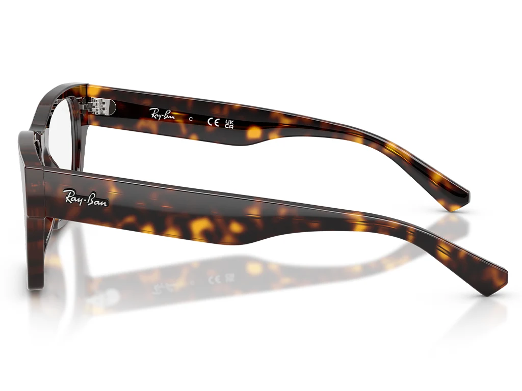 Ray-Ban 0RX5448 2012 Havana 53