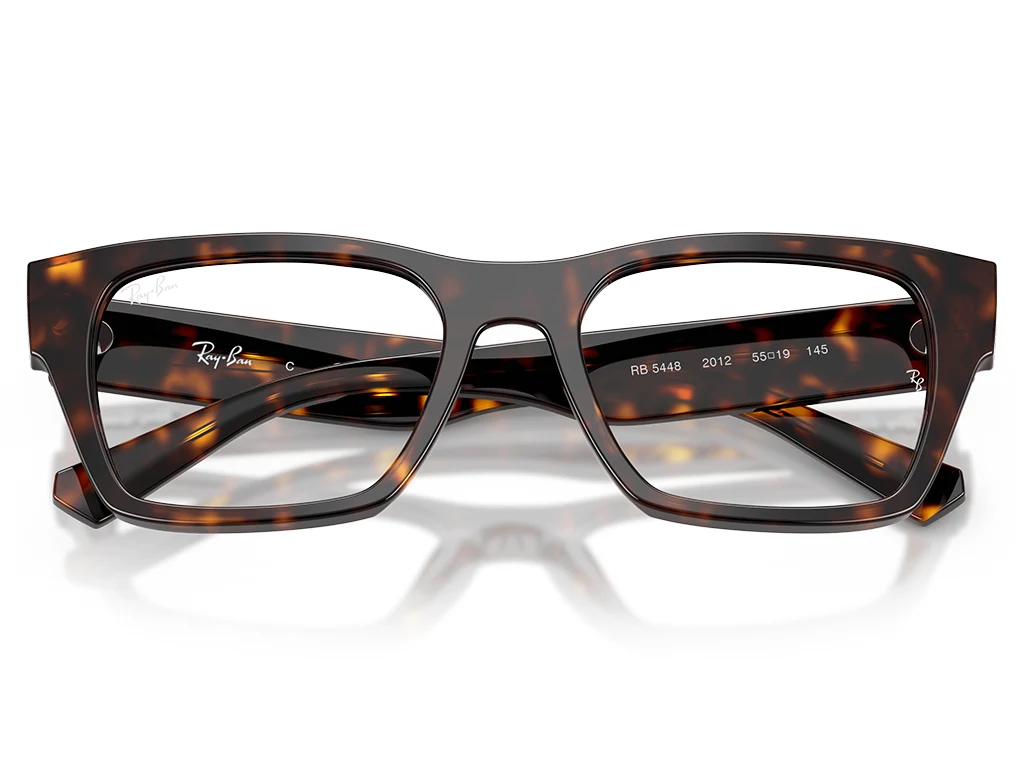 Ray-Ban 0RX5448 2012 Havana 53