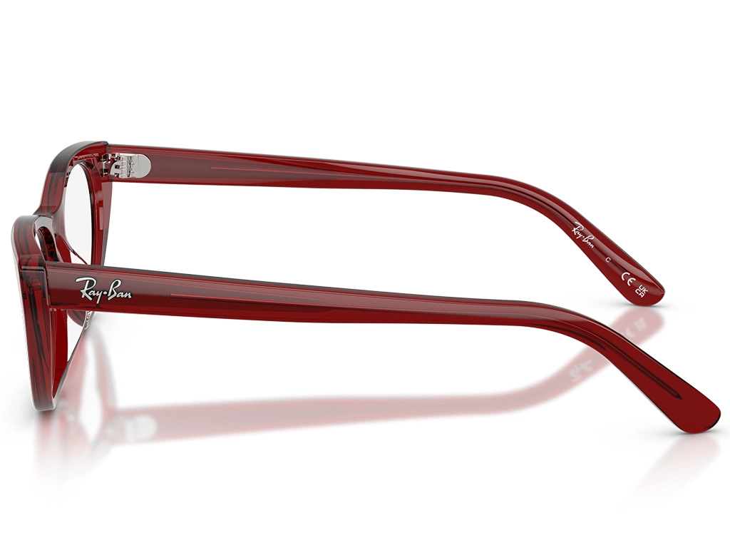 Ray-Ban 0RX5449D 8464 Transparent Bordeaux 54