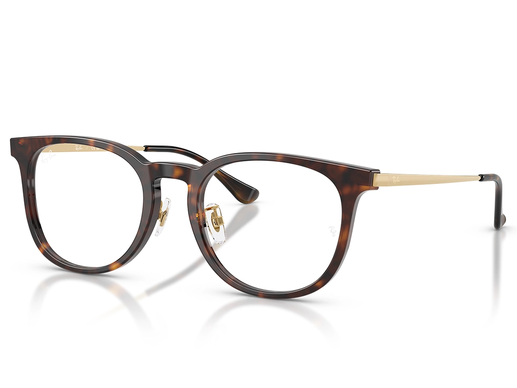 Ray-Ban 0RX5453D 2012 Havana 52
