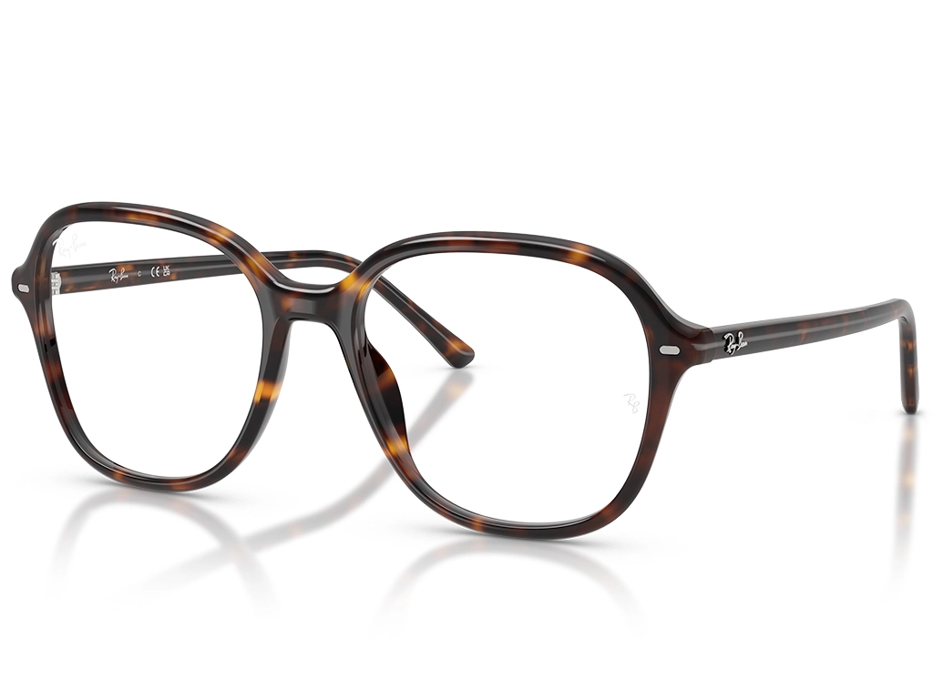Ray-Ban 0RX5456 2012 Havana 54