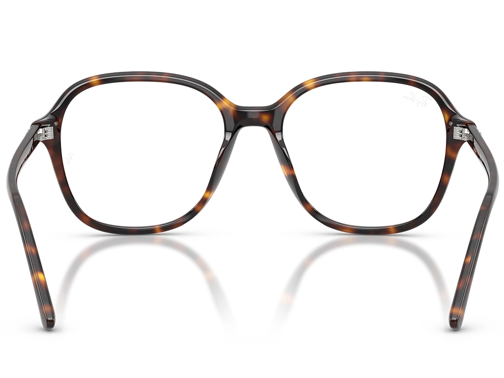 Ray-Ban 0RX5456 2012 Havana 54