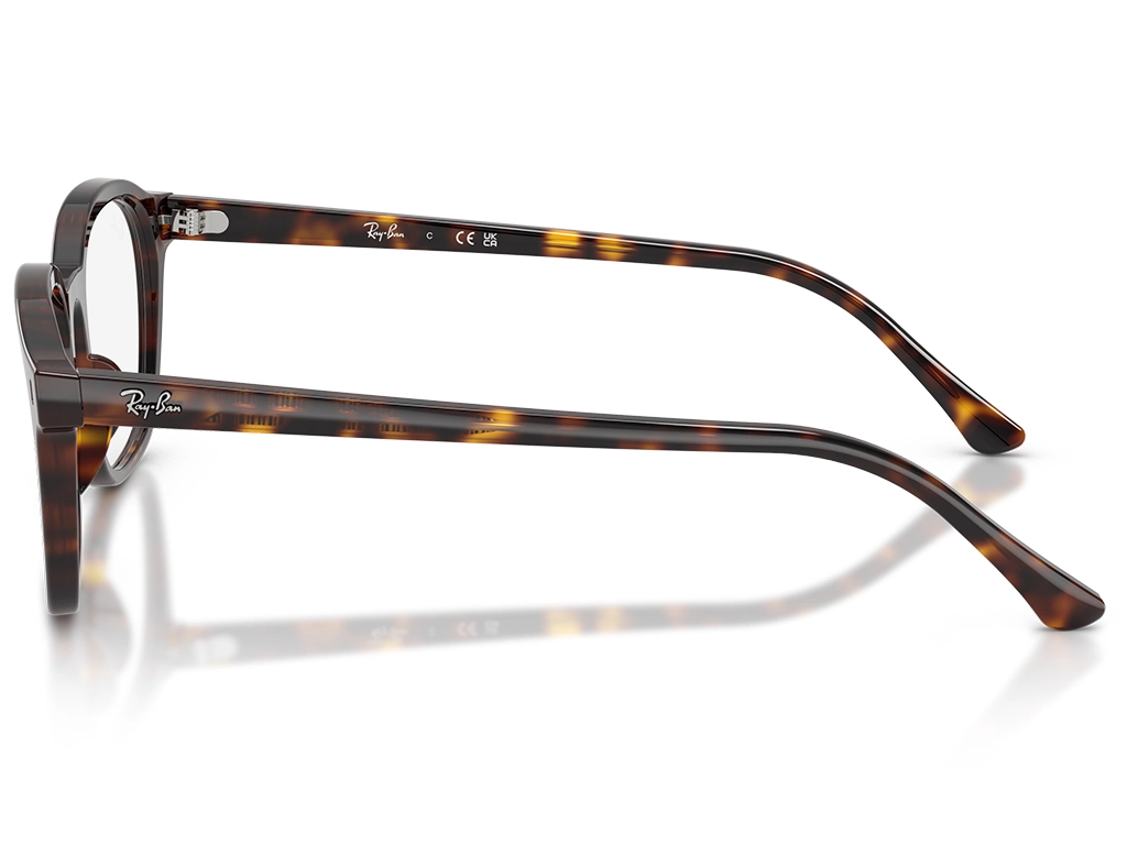 Ray-Ban 0RX5460 2012 Havana 52