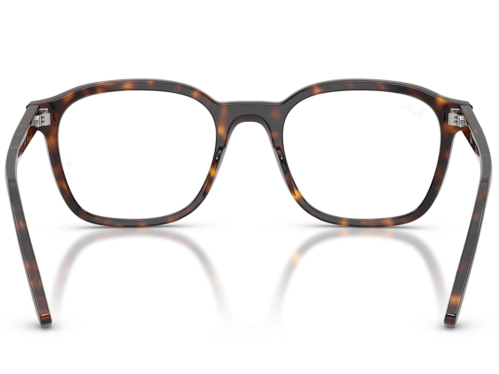 Ray-Ban 0RX5460 2012 Havana 52