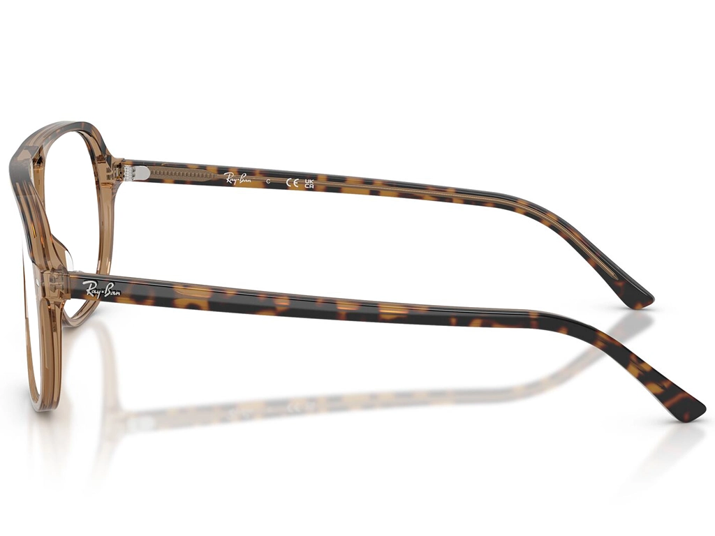Ray-Ban 0RX5698 8109 Havana on Brown 56