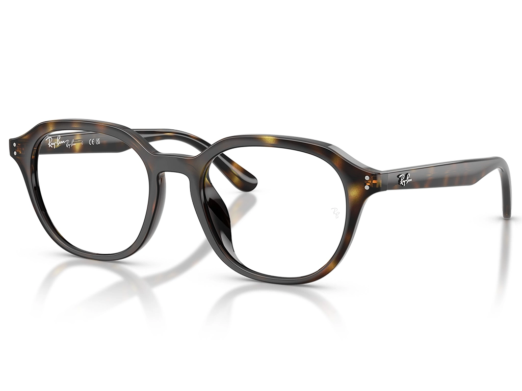Ray-Ban 0RX7259D 2012 Havana 52