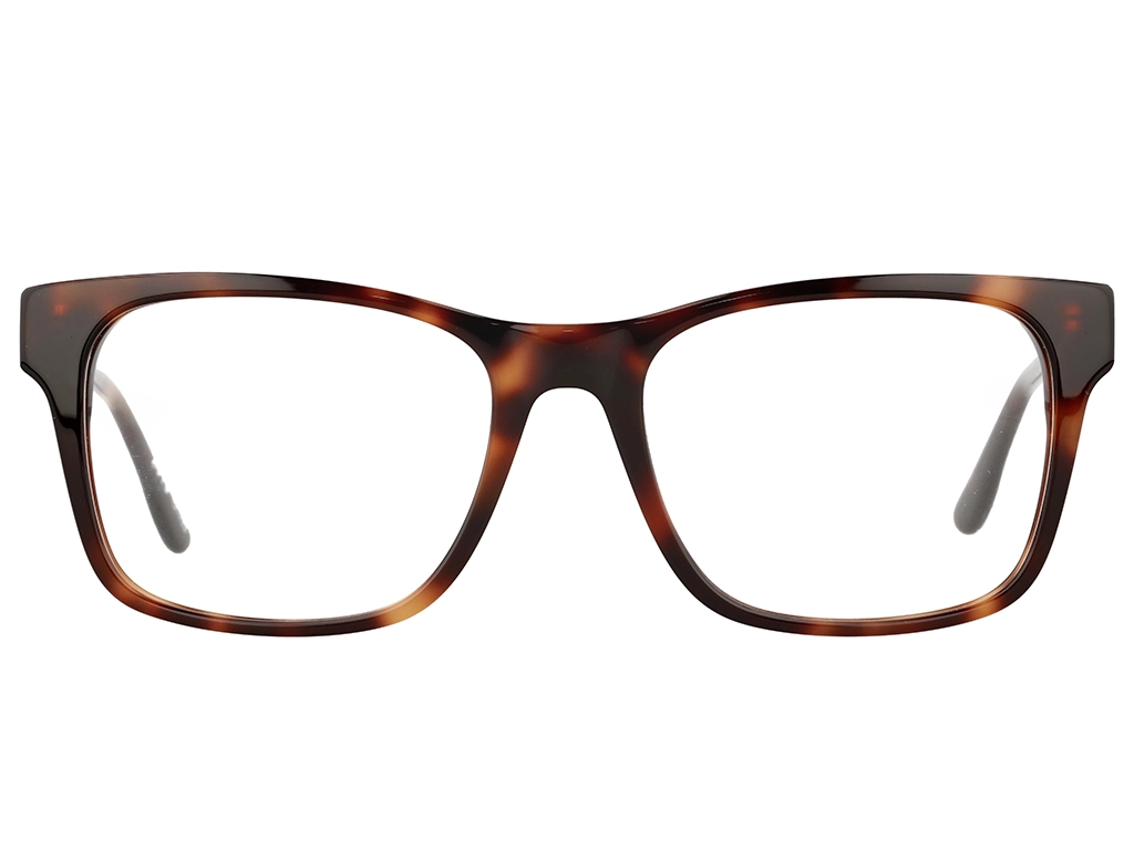 Superdry SDO 2013 102 Tortoise 53