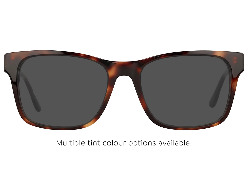 Superdry SDO 2013 102 Tortoise 53