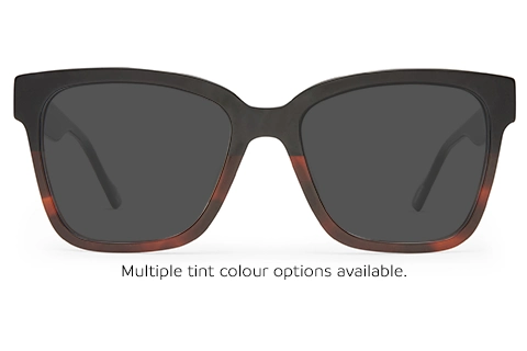 Le Specs Las Dalias BRN Brown Grad 54