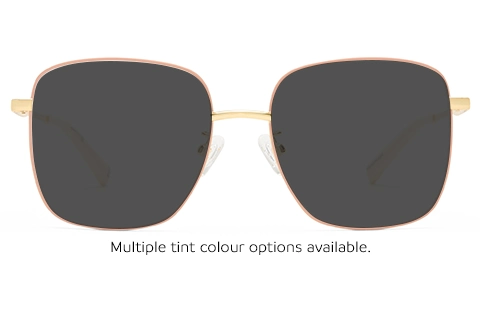 Le Specs Prism GOL Gold/Tan 54