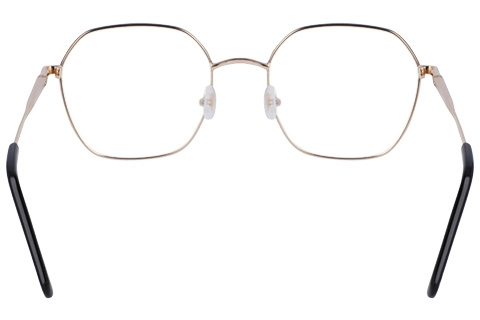 Longchamp LO2152 728 Gold/Black 53