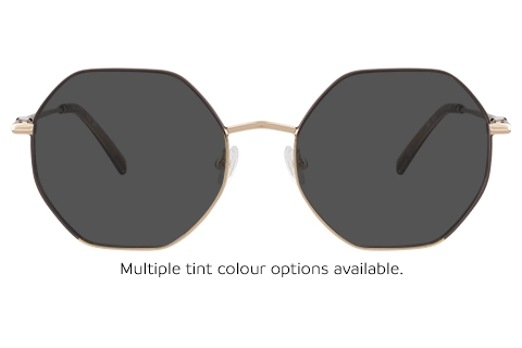 Longchamp LO2166 727 Gold/Brown 54