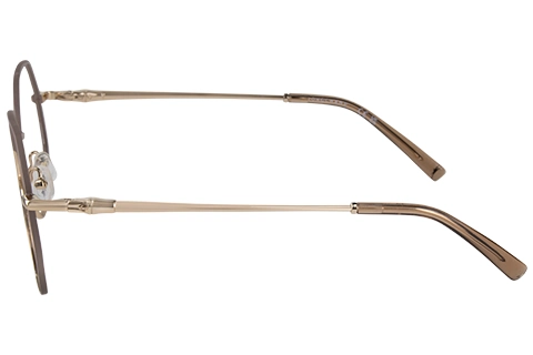 Longchamp LO2166 727 Gold/Brown 54