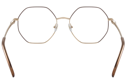 Longchamp LO2166 727 Gold/Brown 54