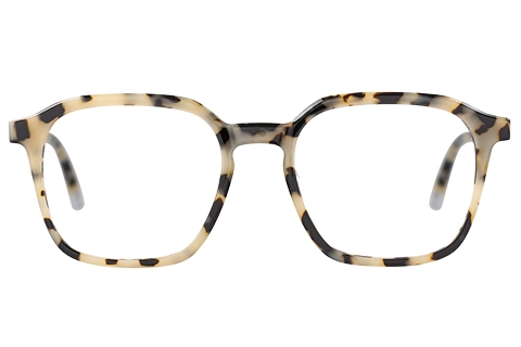 O'Neill ONB 4031 170 Tortoise 52