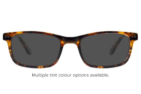 O'Neill ONO Trent 102 Tortoise 47
