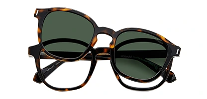 PLD 6203/CS 086 Havana Brown 49 Polarised