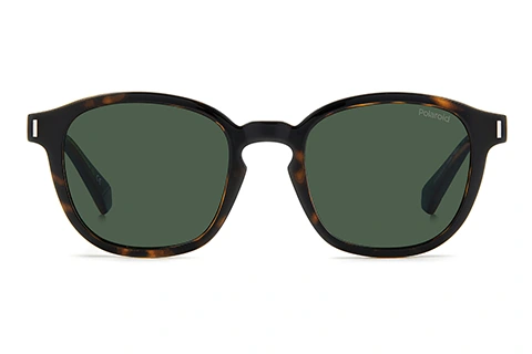 PLD 6203/CS 086 Havana Brown 49 Polarised