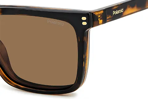 Polaroid PLD D556/C 086 Havana 54 Polarised