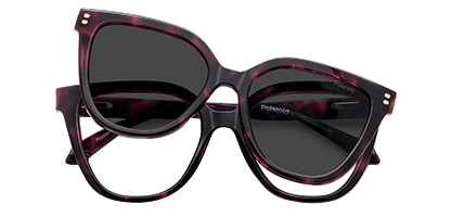 PLD D596/C HKZ Violet Havana 53 Polarised