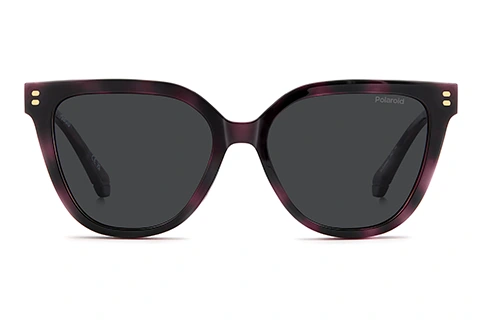 PLD D596/C HKZ Violet Havana 53 Polarised