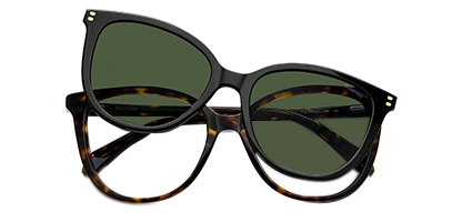 PLD D605/C 086 Havana 54 Polarised