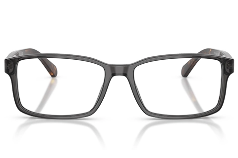 Polo Ralph Lauren PH 2123 5536 Transparent Grey 58
