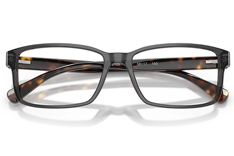 Polo Ralph Lauren PH 2123 5536 Transparent Grey 58