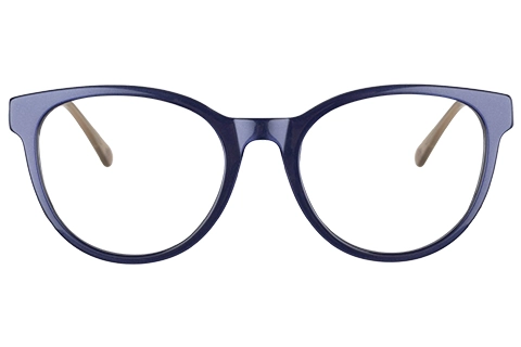 Radley RDO 6006 106 Blue 51