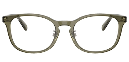 0RX5386D 8501 Transparent Brown 51