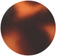 Havana Red Tortoiseshell