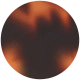 Havana Red Tortoiseshell