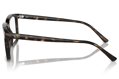 Ray-Ban Alain RX7239 2012 Havana 52