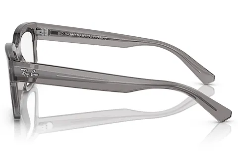 Ray-Ban Chad RX7217 8263 54 Transparent Grey