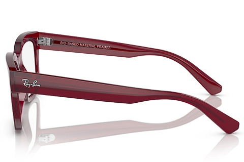 Ray-Ban Chad RX7217 8265 52 Transparent Red