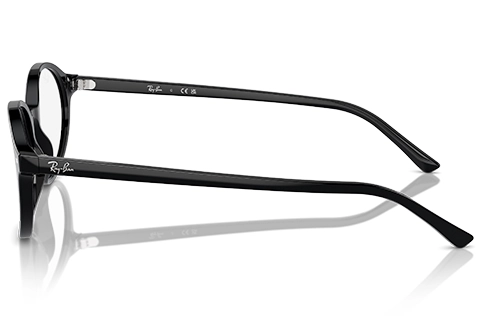 Ray-Ban German RX5429 2000 51 Black