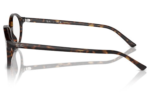 Ray-Ban German RX5429 2012 51 Havana