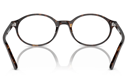 Ray-Ban German RX5429 2012 51 Havana