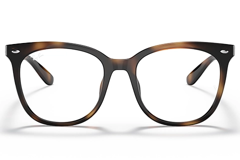 Ray-Ban RX4379VD 2012 53 Havana