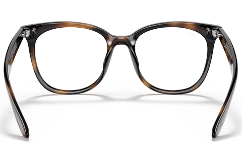 Ray-Ban RX4379VD 2012 53 Havana