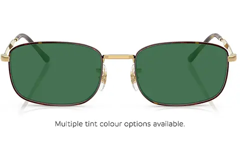 Ray-Ban RX6533 3177 54 Havana on Arista Gold