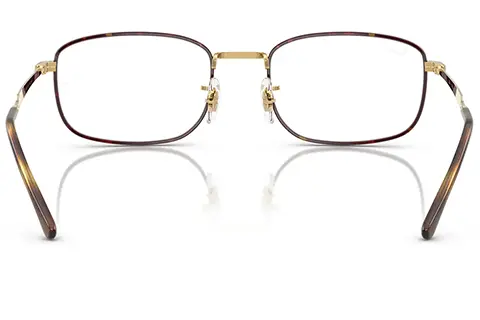 Ray-Ban RX6533 3177 54 Havana on Arista Gold