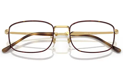 Ray-Ban RX6533 3177 54 Havana on Arista Gold