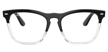 Ray-Ban Steve RX4487V 8193 54 Black on Transparent