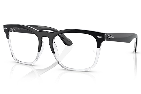Ray-Ban Steve RX4487V 8193 54 Black on Transparent
