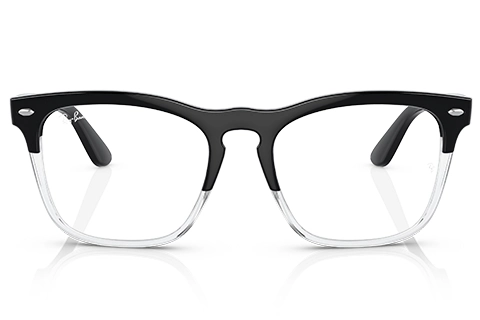Ray-Ban Steve RX4487V 8193 54 Black on Transparent