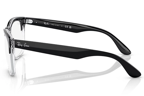Ray-Ban Steve RX4487V 8193 54 Black on Transparent